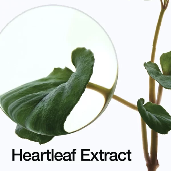 Heartleaf Pore Control Cleansing Oil 200ml